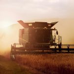 How the government is secretly auctioning Kenyans to Multinationals through Agriculture