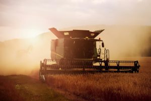 How the government is secretly auctioning Kenyans to Multinationals through Agriculture