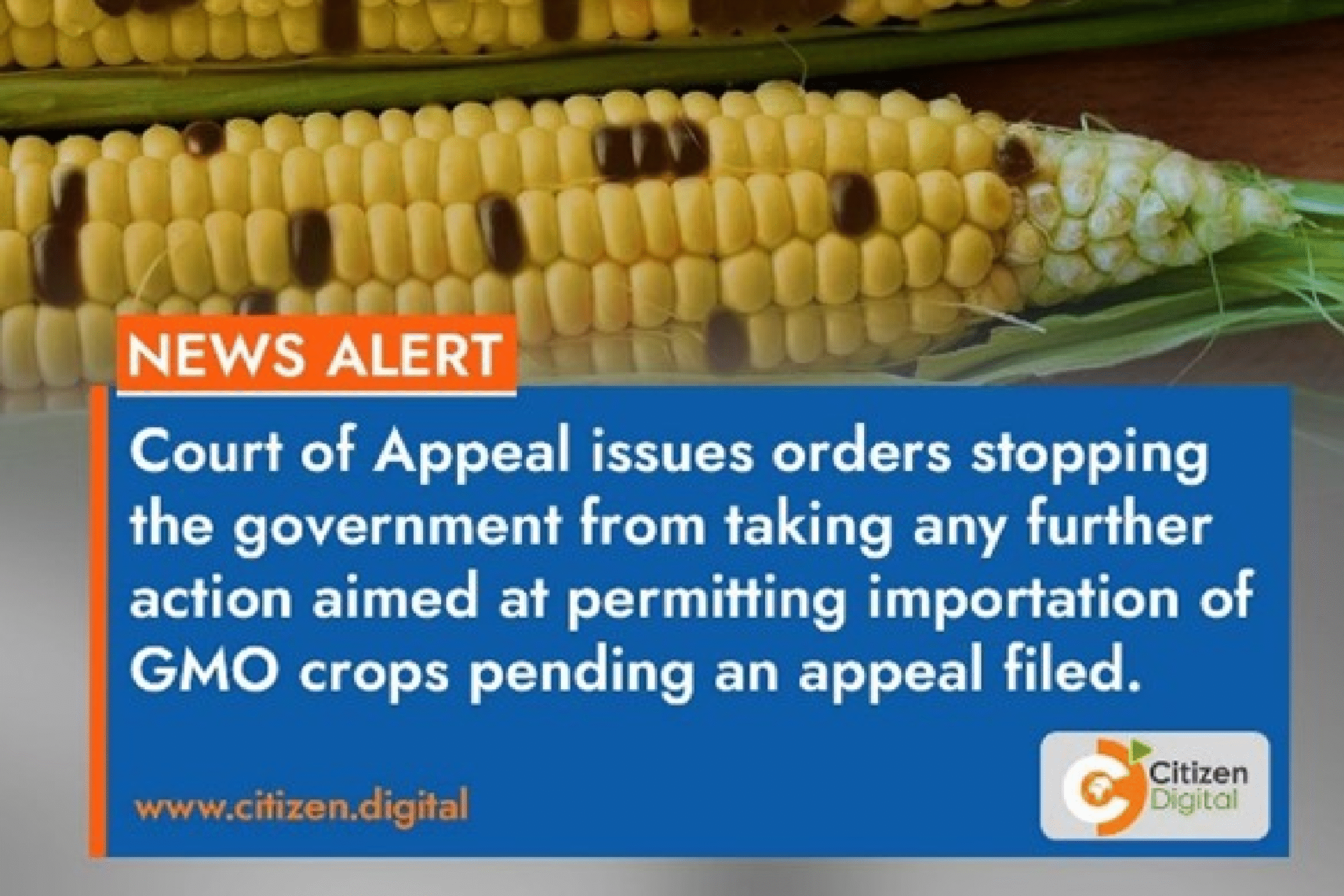 They don’t want you sharing indigenous seeds so foreign companies can take control and spread GMO’s